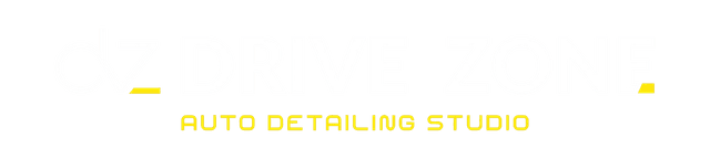DriveZone Logo